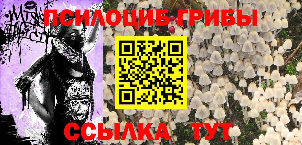 Псилоцибиновые грибы GOLDEN TEACHER Октябрьский